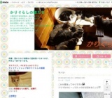 かり猫フリマ出店