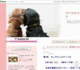 犬・猫　里親ふれあい会