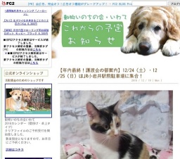 わんにゃんふれあい譲渡会