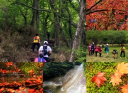 秋の紅葉ロングトレッキング三本杭～滑床周回