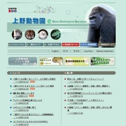 上野のコモドオオトカゲ、シンガポールで産卵