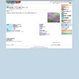 水面の蓮華 すいれんの画家 田中仁士 展