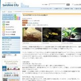 カエルを学ぼう！いろいろカエル大集合！！