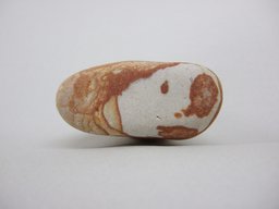 夏休みの体験と宿題にいいね「おもしろ石展」君の石を学芸員さんが見てくれる