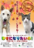 新しい飼い主さん募集イベント