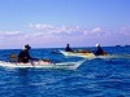 祭日アウトドア/ シーカヤックツアー　社会人サークルFEAD