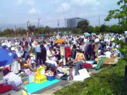 柏の葉公園フリーマーケット7/17(日)開催!!