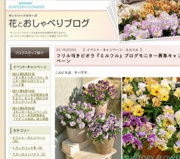 フリル咲きビオラ「ミルフル」ブログモニター募集キャンペーン