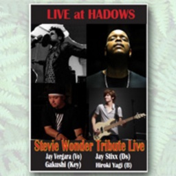 LIVE at HADOWS Stevie Wonder Tribute Live
