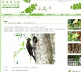 やんばるの鳥と巣展開催！～鳥と植物のかかわり～