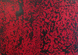 岩崎ミュージアム第314回企画展 「版の境界線・変容と再生」展<日米7人の作家による現代版画展>