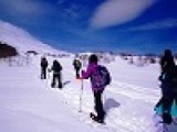【週末アウトドア！　スノーシュートレッキング♪in富士山】　社会人サークルFEAD
