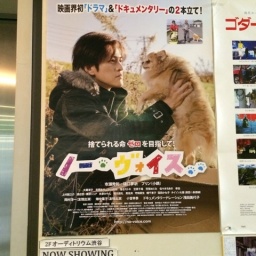 人と動物の繋がり「ノー・ヴォィス」上映会&シネマワールドカフェ+交流会