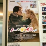 人と動物の繋がり「ノー・ヴォィス」上映会＆シネマワールドカフェ＋交流会