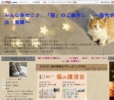 猫の譲渡会