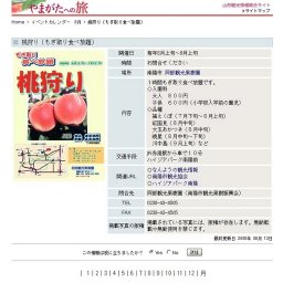 桃狩り（もぎ取り食べ放題）