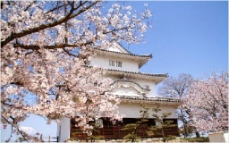 4月2日（日）讃友会！お花見会2017！