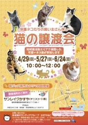 猫の譲渡会