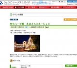 布引ハーブ園 冬のイルミネーション