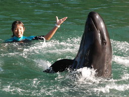 【GW限定】 くじらの博物館ギャラリートーク＆水中パフォーマンス