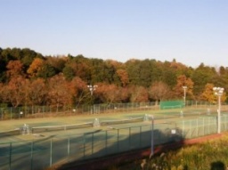 東京成徳大学 日本伝統文化学科主催「第2回出版文化講演会」のご案内