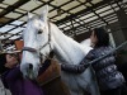 平日アウトドア/本格乗馬体験 社会人サークルFEAD