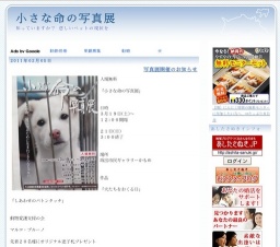 小さな命の写真展