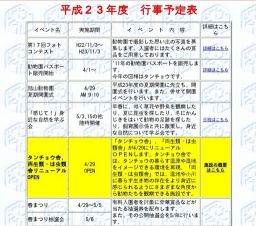 クリスマスツリーを飾る会