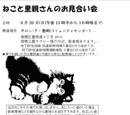 ねこと里親さんのお見合い会
