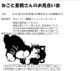 ねこと里親さんのお見合い会