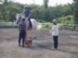 平日イベント　本格乗馬体験　社会人サークルFEAD