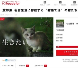 愛知県 名古屋港に存在する "猫捨て場" の猫たちを救いたい!!