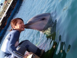 【スペシャルイベント☆　ドルフィンスイム＆美味いもの＆温泉バスツアー】社会人サークルFEAD