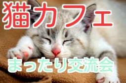 ナチュラルな猫カフェでまったり猫カフェ会♪あっと池袋