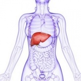 ◆春の肝機能サポートヨガ◆～春は肝臓が活発に毒素を排出し脂肪を分解する季節～