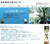 犬猫ふれあい譲渡会