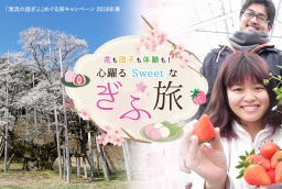 「清流の国ぎふ」めぐる旅キャンペーン2018春