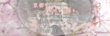 【4/1(日)開催】花らんまん春の京旅<疎水やましなプロムナード>京都でしか見られない桜を。桜の...