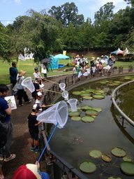 植物園の生き物観察会(8/5・8/26)