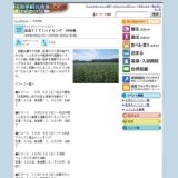 高島てくてくハイキング 2008秋