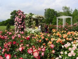 ぐんまフラワーパーク イベント情報