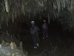 自然の鍾乳洞を歩く「安家洞を歩き見て体験する会」