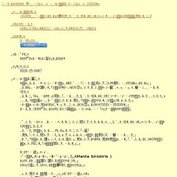 特別展 マンタの海流大冒険〜まぼろしの海神（ポセイドン）王国をめざして〜