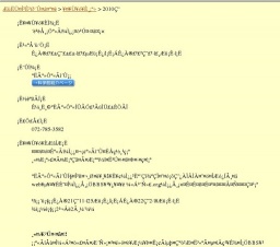 企画展「昆虫写真を楽しもう」