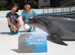 めざせくじら博士！！　『くじらの博物館　ミュージアムクイズラリー』