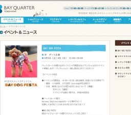 スサイタカコがやってくる！