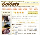 猫ちゃん譲る会