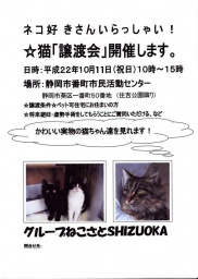猫の譲渡会