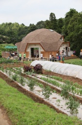 【八街ふれ愛オーガニックファーム】9月11日(日)「秋の作付け体験&“おおまさり”収穫・試食会...