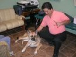 Ｄｒ．レイモンド・ヨザ　レゾネントアニマルヒーリング